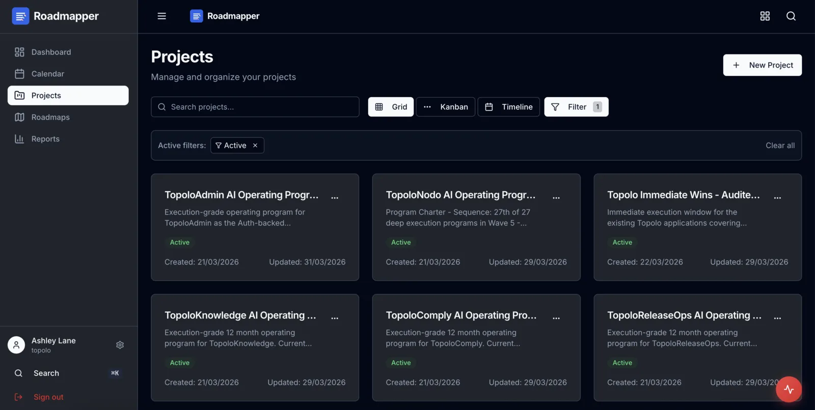 Topolo Roadmapper roadmap screen